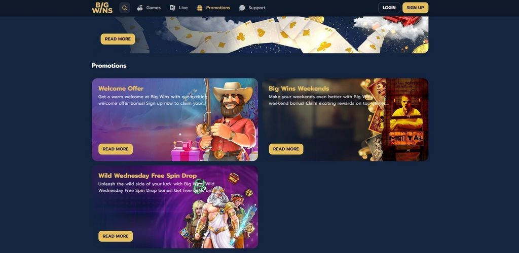 Bigwins Casino Site Review: Complete Testimonial in 2025
